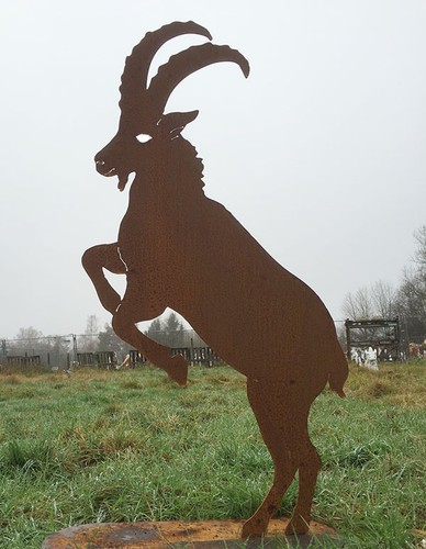 Springender steinbock h113cm - springender,