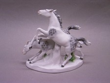 APFELSCHIMMEL, PFERDEGRUPPE