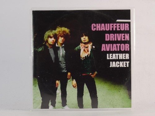 Chauffeur driven aviator - chauffeur,
