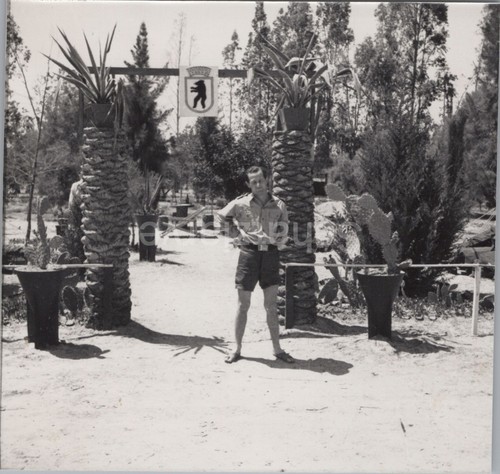 Repro foto luftwaffe - repro,