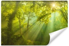 Selbstklebende FOTOTAPETE WALD