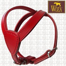 Premium Brustgeschirr