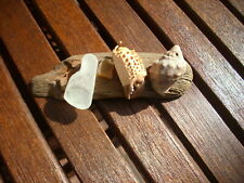 Badezimmer Bad Deko Treibholz Muscheln Glassteinchen Handarb. Meer Strand