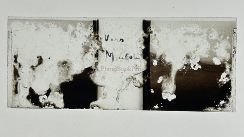 Foto platte verre - foto,