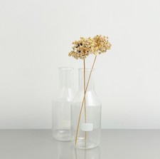 2 Glasflaschen SCHOTT Duran