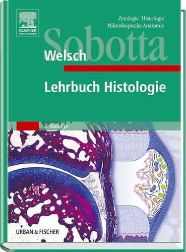 Sobotta lehrbuch histologie - sobotta,
