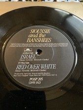 Siouxsie & the Banshees