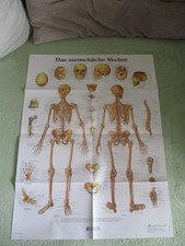 CXXXIV: XL POSTER - DAS