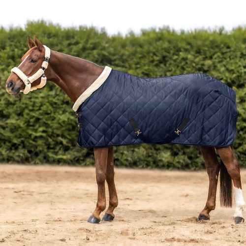 Transportdecke 50g exclusive - 50g,