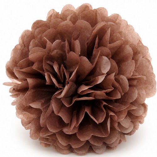 Pompon 35cm seidenpapier - 35cm,