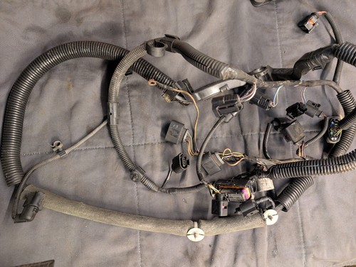 Motorkabelbaum kabelbaum motor - kabelbaum,