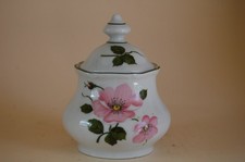 Zuckerdose Wildrose sehr ähnlich! Bitte Bild beachten! Winterling NEU