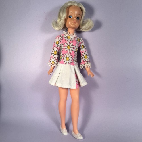 Blonde trendy girl pedigree - trendy,