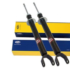 ✅ 2x Stoßdämpfer Gasdruck