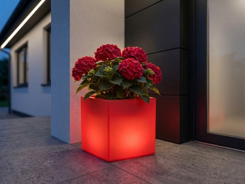 Beleuchteter led blumentopf - beleuchteter,