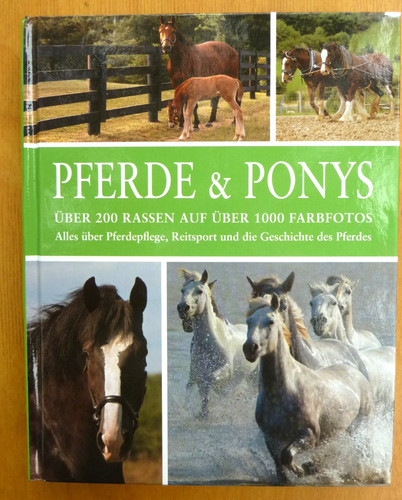 Sly pferde ponys über - sly:,