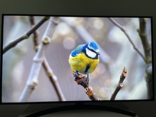 LG NanoCell TV 50 Zoll (126cm)