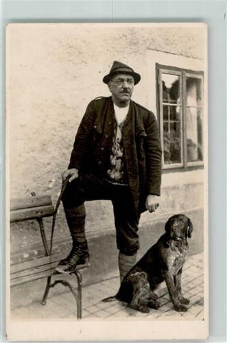 39282426 deutsch kurzhaar - -,