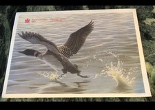 1991 Uncirculated Coin Set