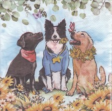 3 Lunch Papier Servietten Napkins (E8-3) Hunde Labrador Retriever Border Collie