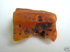 Bernstein Butterscotch Honig