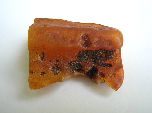 Bernstein butterscotch honig - bernstein,