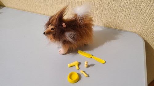 Barbiehund collie try - try, me