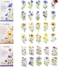 Kinretixia 60 teiliges