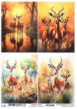 Reispapier A4 Strohseide