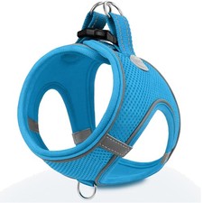 Hundegeschirr Kleine Hunde