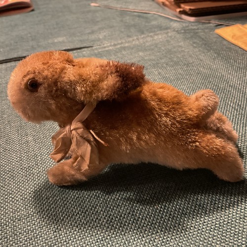 Alter geliebter steiff hase - alter,