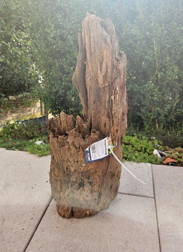 Mangroven wurzel 22x16x47cm - mangroven,