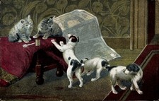 Ak Zwei junge Katzen und drei junge Hunde, Landkarte, Schere - 4204242