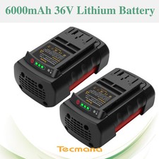 2X 6.0AH 36V Li-ion Akku für
