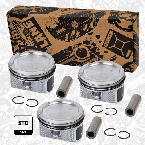 Kolben pm005700 51 mm - pm005700, 76,51