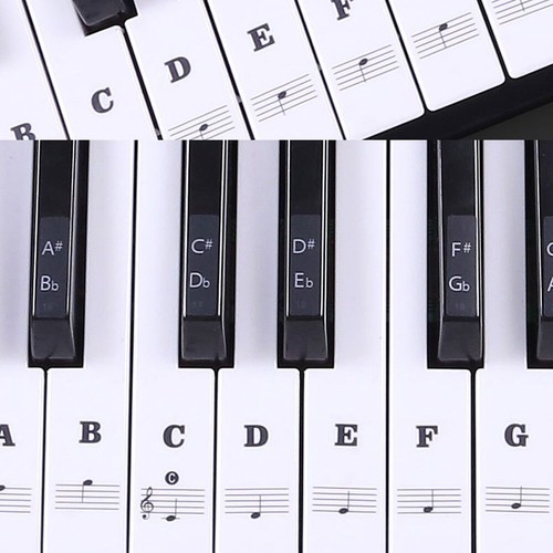 49 tasten keyboard - 88/61/54/49,