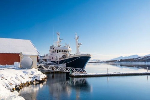Fischerboot hafen von - fischerboot, im