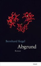 Abgrund von Bernhard Kegel | Buch | Zustand gut