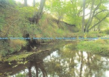 D072941 North Riding Forest