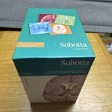 Sobotta Lernkartenpaket von