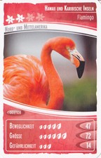 Netto     Ozeanien 2        "