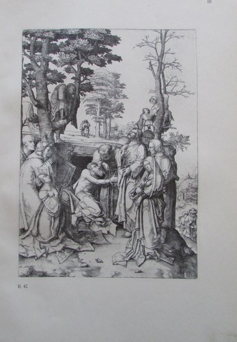 Lucas van leyden die - lucas,