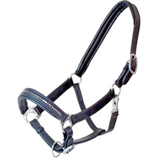 Halfter Lederhalfter Diamond Marengos Leder Glitzer  schwarz Pony