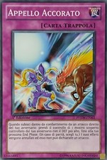 Accorato Appell - Common -