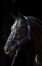 Kandar Dexter Full Blau für