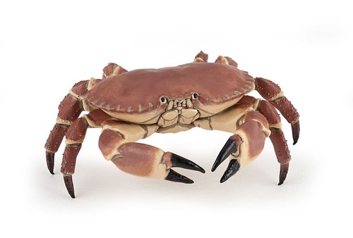 Papo 56047 krabbe - krabbe, cm