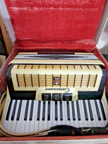 Camerano accordion marbled - accordion,