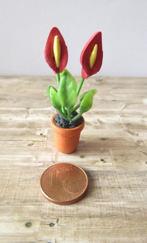 Blume tulpe flamingoblume topf - blume,