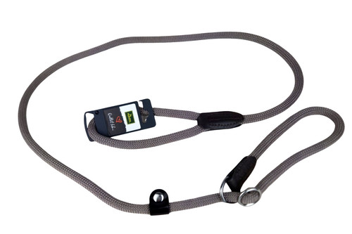 Hunter retriever freestyle - hunter,