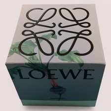 LOEWE ROOT Medium 610g